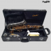 SAX ALTO CONDOR CSA-54 PRETO DOURADO COM CASE