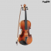 VIOLINO VIVACE 3/4 BE-34S BEETHOVEN FOSCO