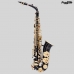 SAX ALTO CONDOR CSA-54 PRETO DOURADO COM CASE