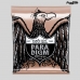 ENCORDOAMENTO ERNIE BALL PARA VIOLÃO AÇO 2080 010 PHOSPHOR BRONZE