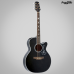VIOLAO TAKAMINE AÇO GN-75CE PRETO TRANSLUCIDO